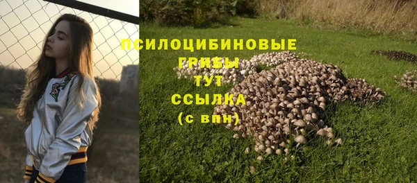 герыч Медногорск