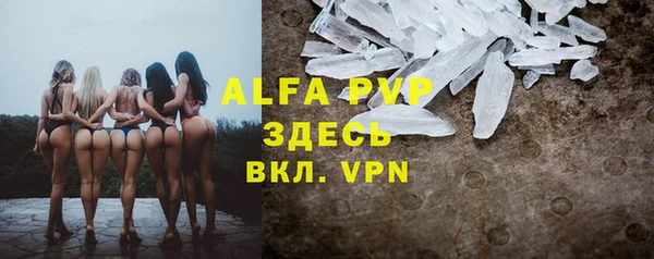 стафф Печоры