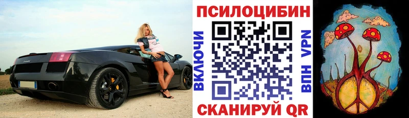 Псилоцибиновые грибы GOLDEN TEACHER  Новотитаровская 